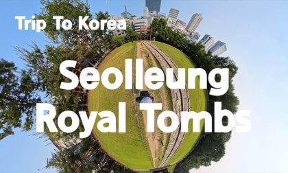 [360 Trip to Korea] Seolleung 🇰🇷 Royal Tombs Hidden in Seoul’s Skyscrapers