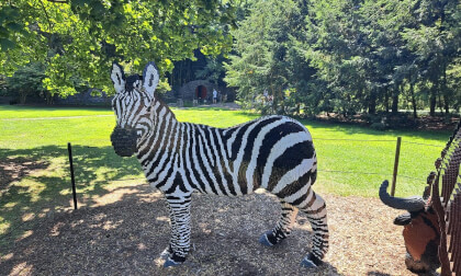 Lego Animal Sculptures of Nature Connects Exhibition Part 1 3D 180 VR Lego Animal Sculptures of Nature Connects Exhibition Part 1 3D 180 VR