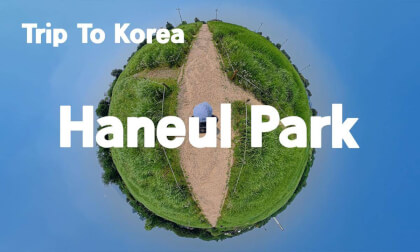 [360 Trip to Korea] Haneul Park 🇰🇷 Seoul’s Sky-High Silver Grass Dream