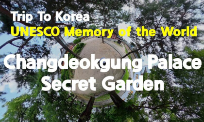 [360 Trip to Korea] Changdeokgung & Secret Garden 🇰🇷 Seoul’s Hidden Royal Paradise