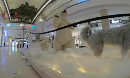 Robotic animals VR 180 3D