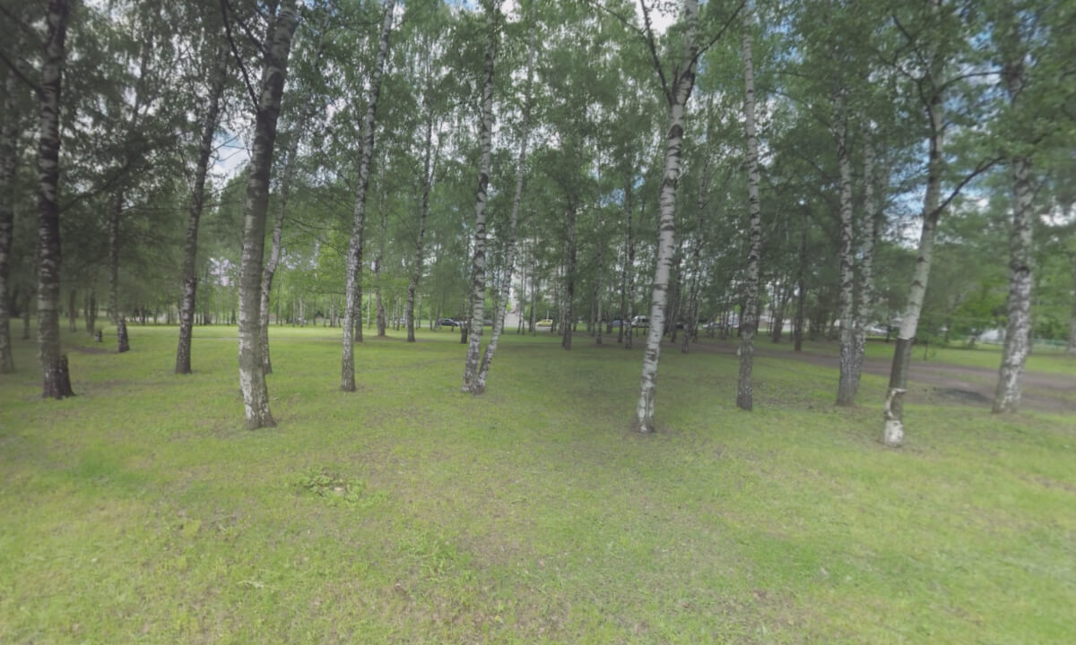 360 VR Green park by the road with car traffic in Moscow, Russia