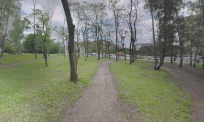 360 VR Park with birches near the busy motorway in Moscow, Russia