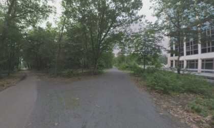 360 VR Paved paths in greenery along the street in Frankfurt, Germany