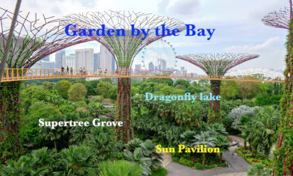 [180VR] Garden by the Bay, Singapore