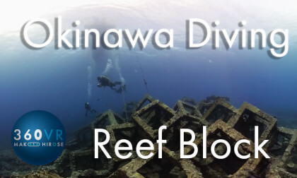 Okinawa Diving -Travel JAPAN- [ Reef Block ]