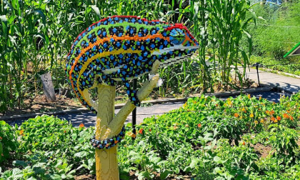 Lego Animal Sculptures of Nature Connects Exhibition Part 2 3D 180 VR VR Video Lego Animal Sculptures of Nature Connects Exhibition Part 2 3D 180 VR VR