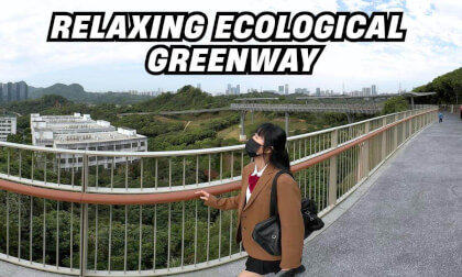 Relaxing stroll along the suspended steel frame ecological greenway