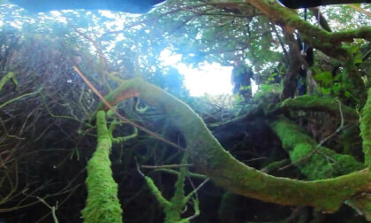 Providence Mine, Carbis Bay, Sluts Hole - Collapsed Stope