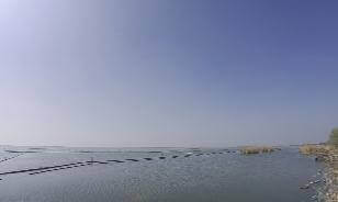 Beautiful view by the lake