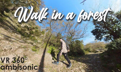 VR 360 Hike in a forest in Herceg Novi, Igalo, Montenegro