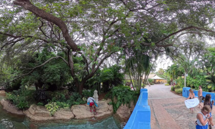 Discovery Cove - Orlando FL USA