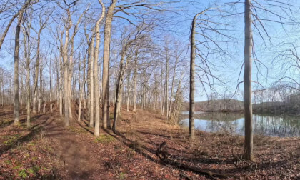 Seneca Creek Regional Park-Hike 3-13-26