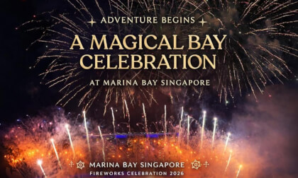 Adventure Begins: A Magical Bay Celebration Firework