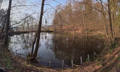 Stauweiher