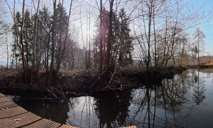 Stauweiher 2