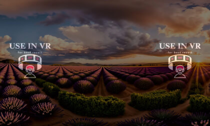 Lavender field | Relaxation • 360° VR