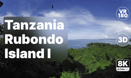 Tanzania Rubondo Island - Walk Part I 8K 180 3D