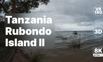 Tanzania Rubondo Island - Walk Part II 8K 180 3D