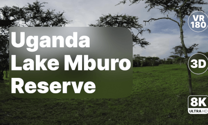 Uganda Lake Mburo - Scenic Wildlife Walk 8K 180 3D