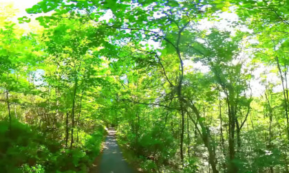 Luray Virginia Storybook Trail 6 25 21 Hike