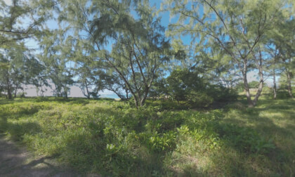 360 VR Family of tourists walking in green woods of Mauritius