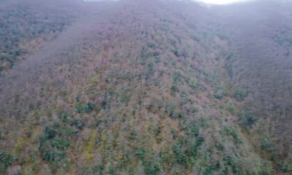 Ancares: Valle del Río Ortigal