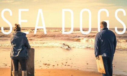 A Sanctuary for Sea Dogs | Documentary (180° 6.4k)