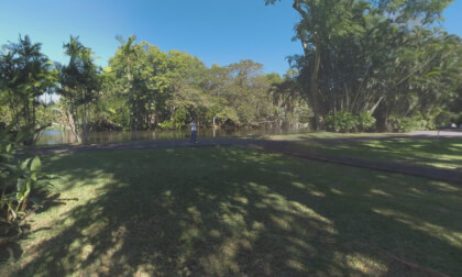 360 VR Green woods on river bank in Mauritius