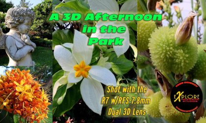 A 3D Afternoon in the Park with the Canon R7
