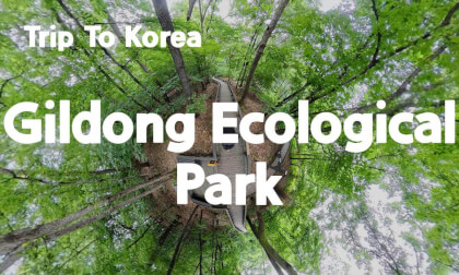 [360 Trip to Korea] Gildong Ecological Park 🇰🇷 Seoul’s Hidden Nature Sanctuary
