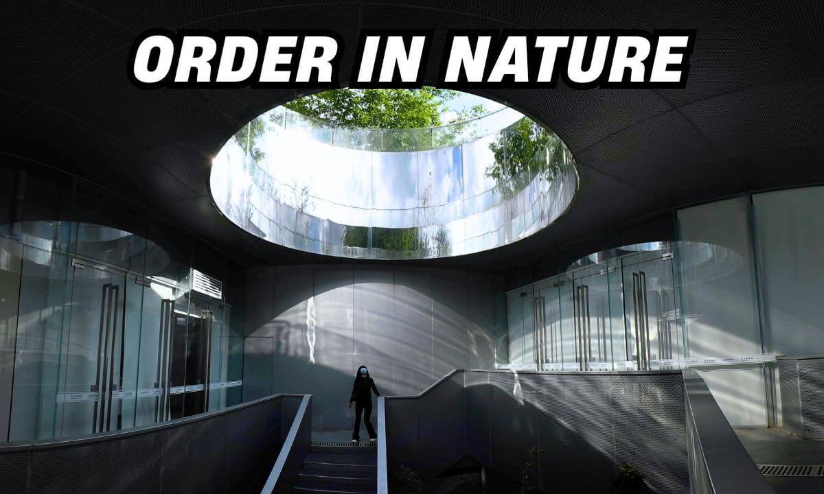 Where Nature Meets Law: Exploring Shenzhen’s Civil Code Park