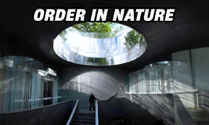 Where Nature Meets Law: Exploring Shenzhen’s Civil Code Park