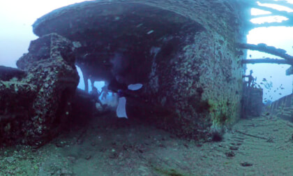 hawaii honolulu diving part.1 | 20250414 | Virtual Travel | 4K 360°