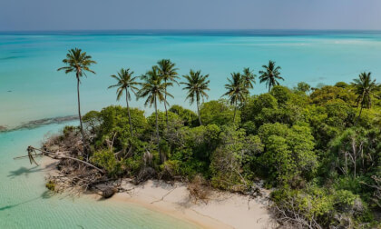 Virtual Walk on a Desert Island in the Maldives 🌴 | 360° Tropical Beach Experience (8K VR)
