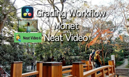 Grading Workflow with Monet and Neat Video in DaVinci Resolve