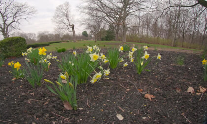 Butler University Holcomb Gardens | VR180 Stereoscopic Immersive