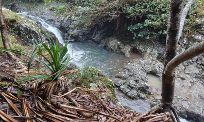 Hike through a Haiku jungle on Maui towards an amazing HIDDEN waterfall!