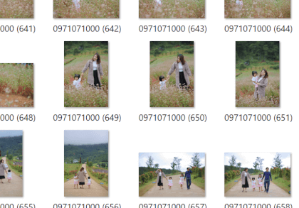 CANON R8 2-stitched VR Video CANON R8 2-stitched VR