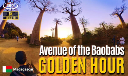 01_[8K VR 360] The Most Magical Sunset? Golden Hour at Avenue of the Baobabs, Madagascar ｜ 誰かの日常。僕らの非日常。