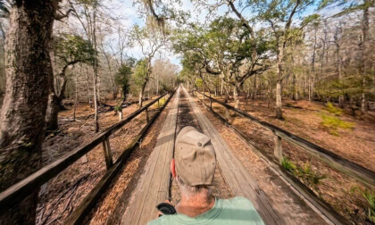 Griffin Ridge WMA Lower Road Bridge Walk 6k 360 Video