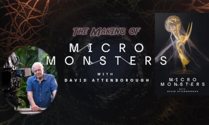 How I Shot Micro Monsters as Part of David Attenborough's Team