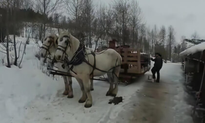 Milliron Ranch-Sleigh Ride 360 Video-January 31st 2018