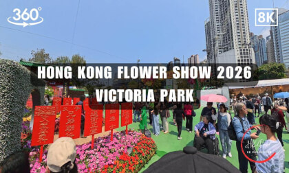 Hong Kong Flower Show - Hong Kong 2026 | 8K 360VR