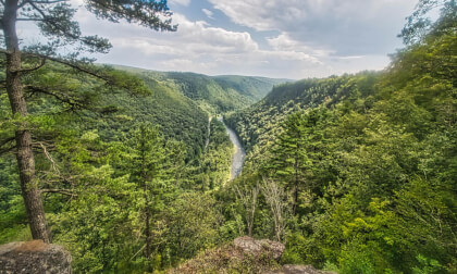 Colton Point State Park Pennsylvania August 18th, 2023