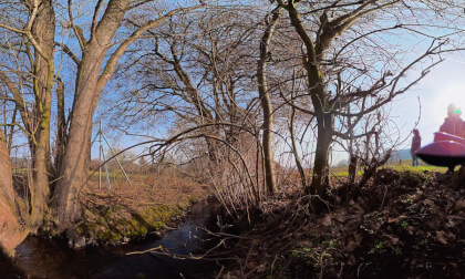Nature_clip6