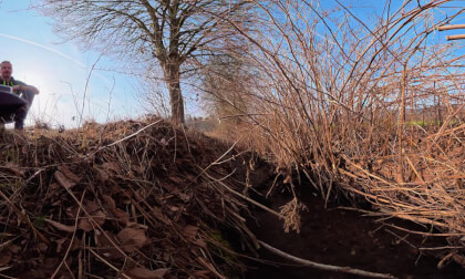 Nature_clip7