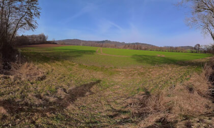 Nature_clip8