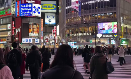 spatial view TOKYO - Shibuya crossing / HACHI