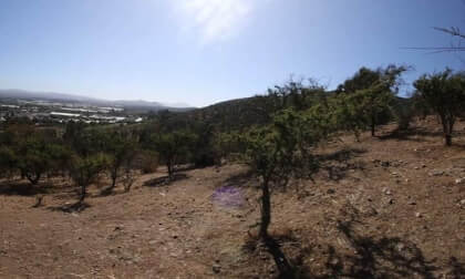 cerro limache vr